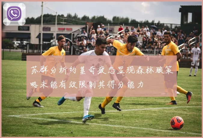 苏群分析约基奇疲态显现森林狼策略未能有效限制其得分能力